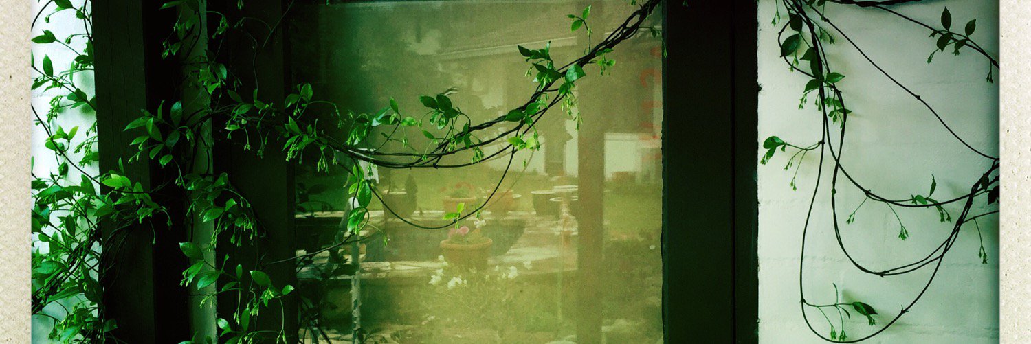 TRAESHY's profile banner image