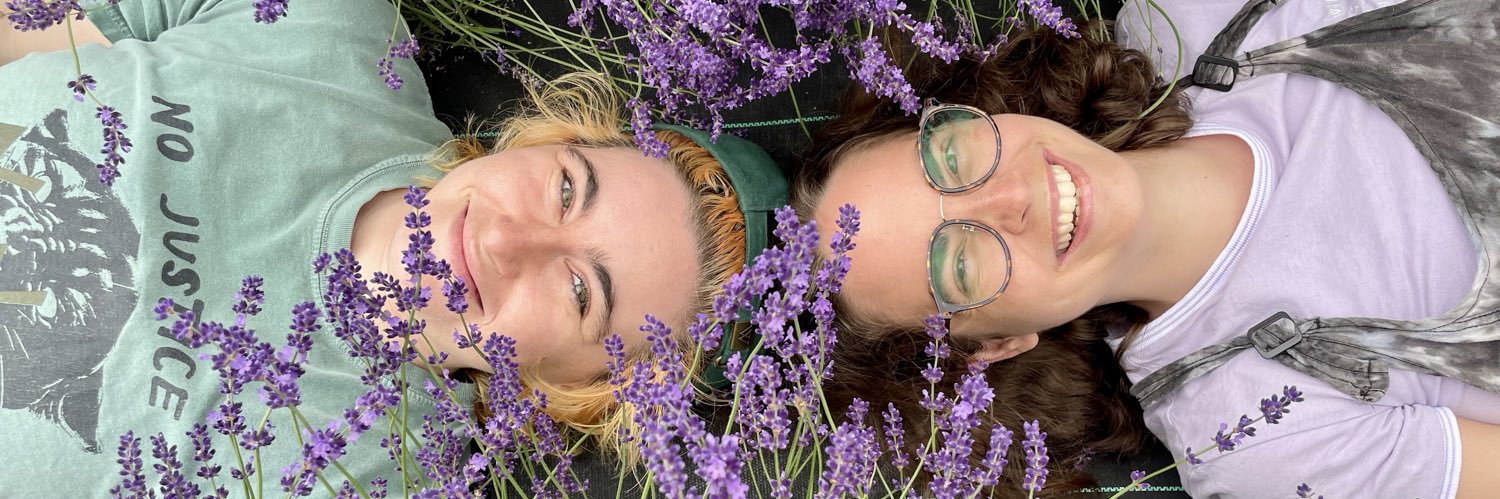 maddiestern's profile banner image