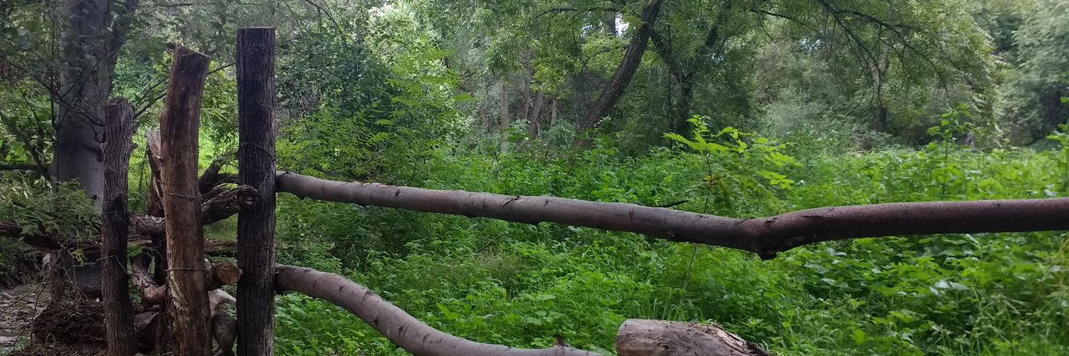 PANDA_FO's profile banner image