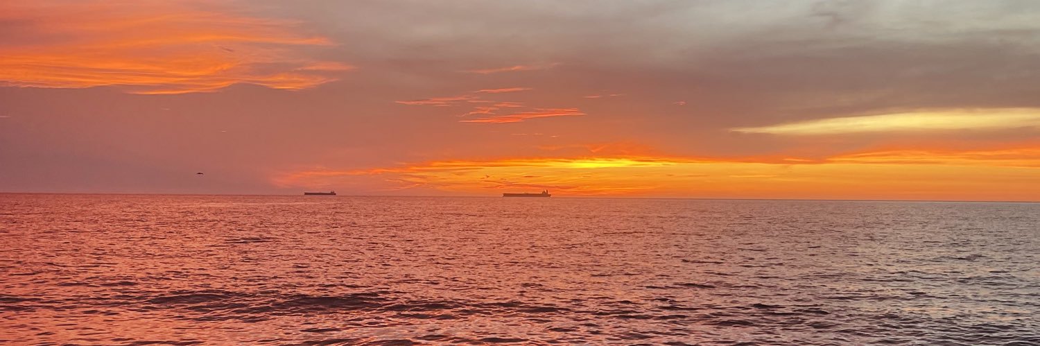 moleromario's profile banner image