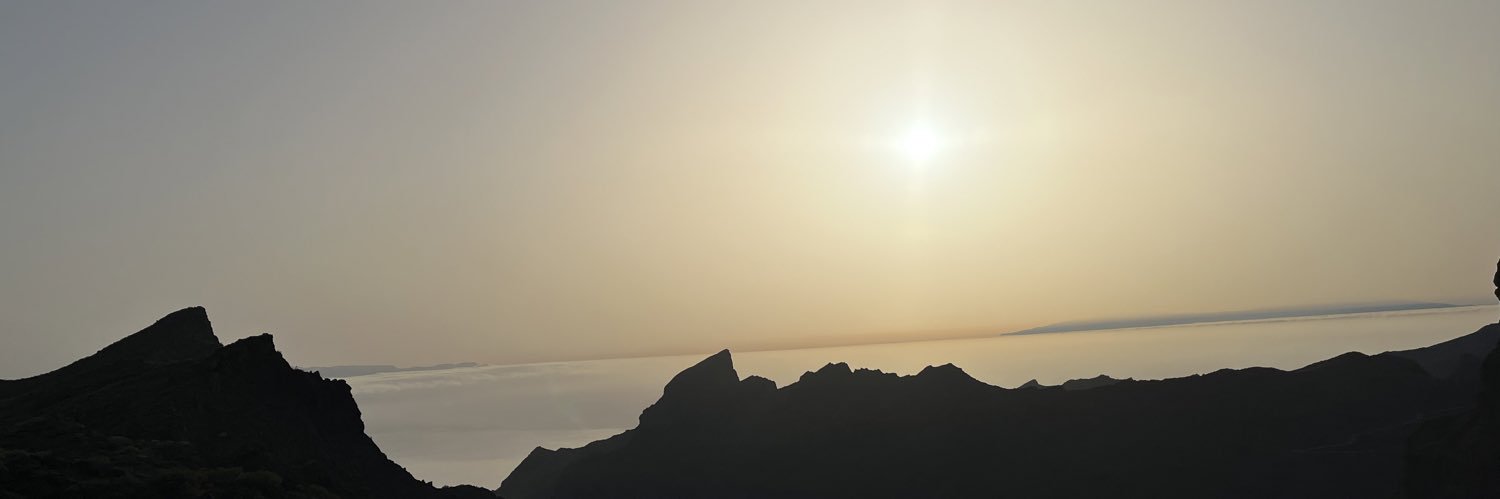 SelenneTea's profile banner image