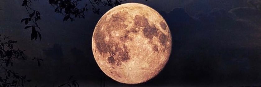 moon ✈️ banner
