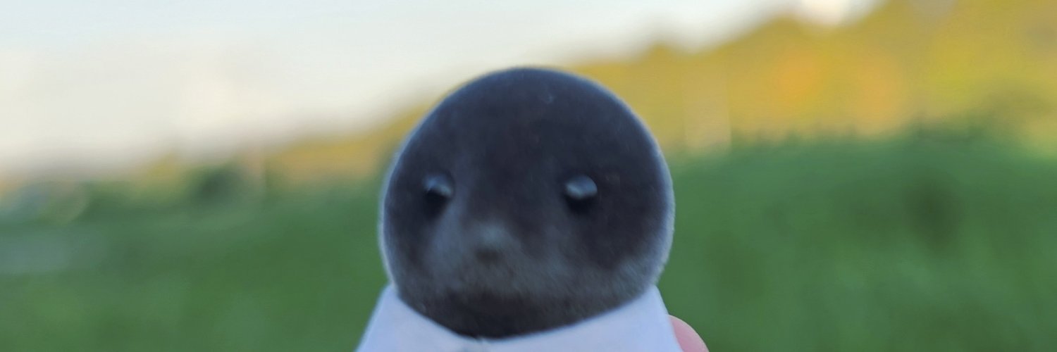 pufflike's profile banner image
