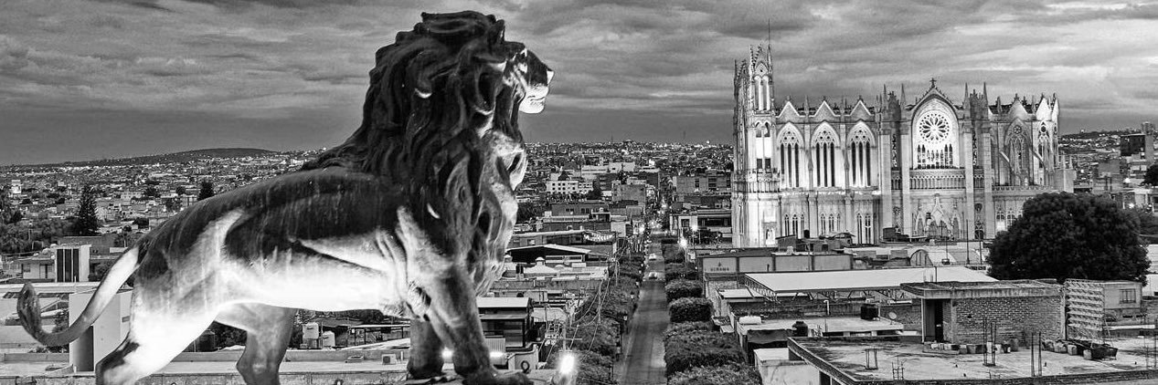 pratolitas's profile banner image