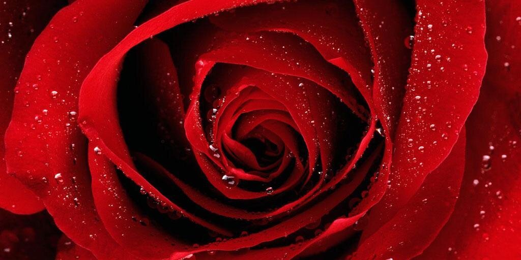 eebbtt1997's profile banner image