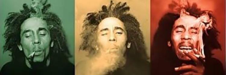 Wane Dreadzky banner