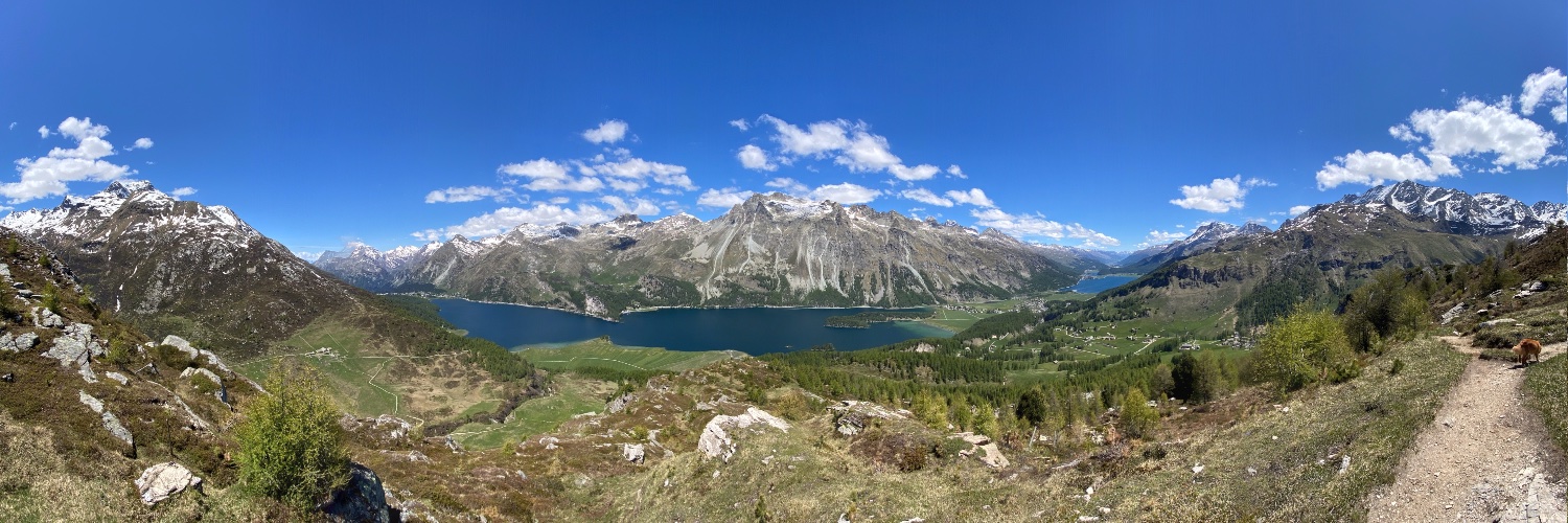 Christian Meuli banner