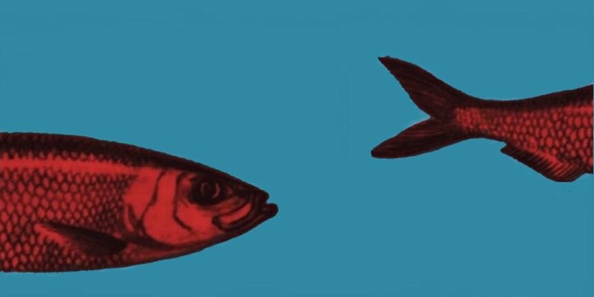PaschaleS's profile banner image