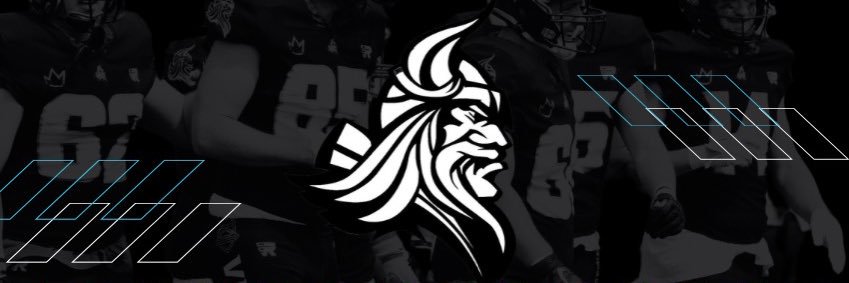 Newcastle Vikings banner