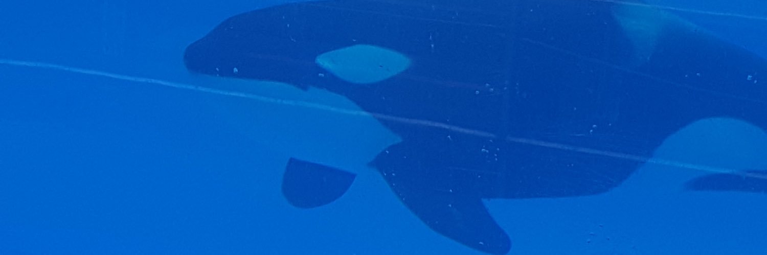 Robert_Lewis21's profile banner image