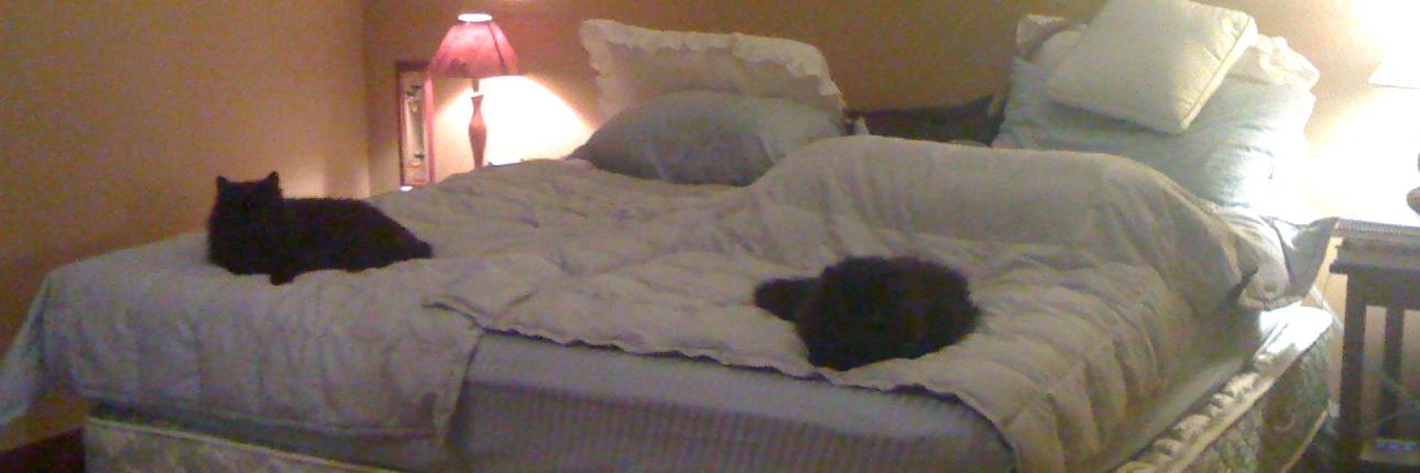 Johnmont's profile banner image