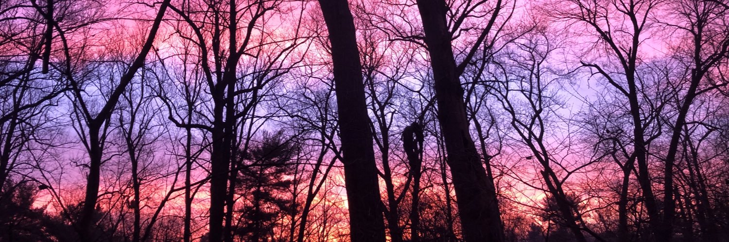 Tiffany Wright (she/her) banner