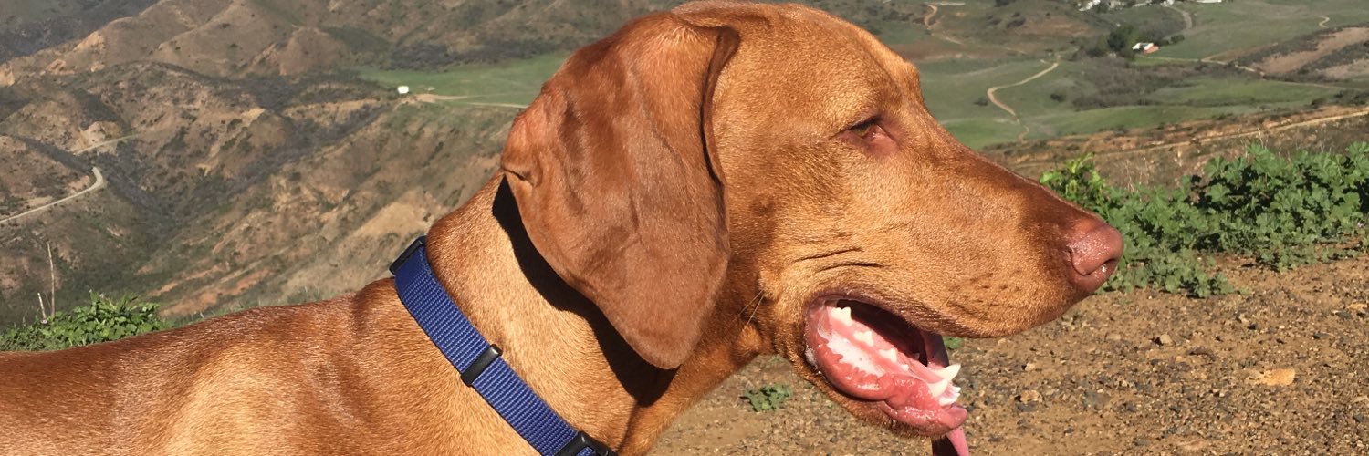 runfoyrun's profile banner image