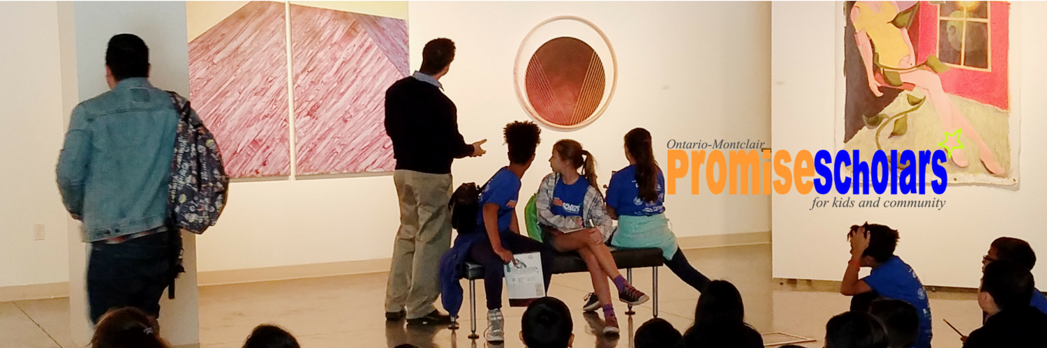 Promise Scholars banner