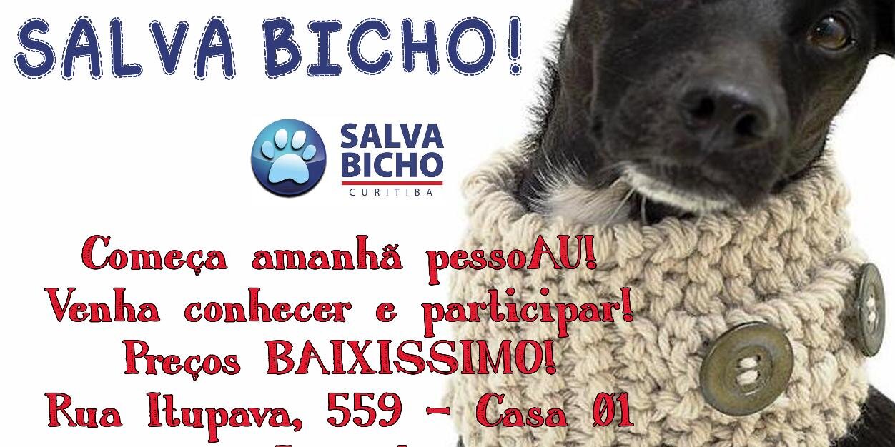 SalvaBicho's profile banner image