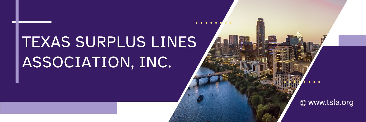 TSLA_inc's profile banner image
