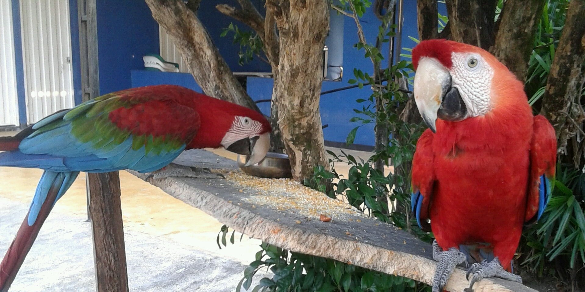 Barreto75207's profile banner image