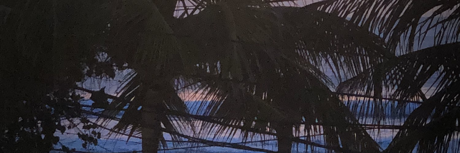 Sarzieb's profile banner image