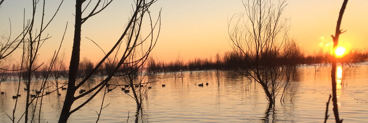 GR_SwampDonkey's profile banner image