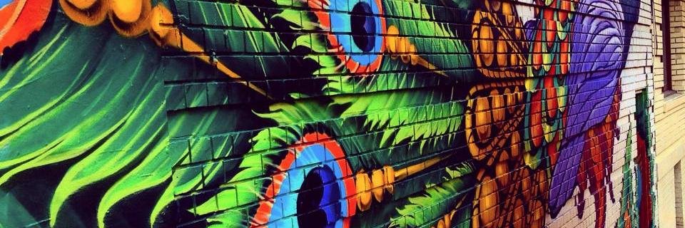 tayfoley's profile banner image