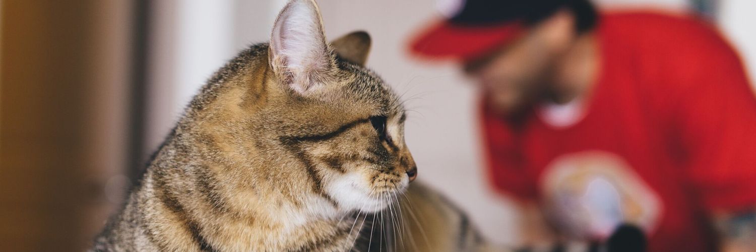 Jerrk707's profile banner image