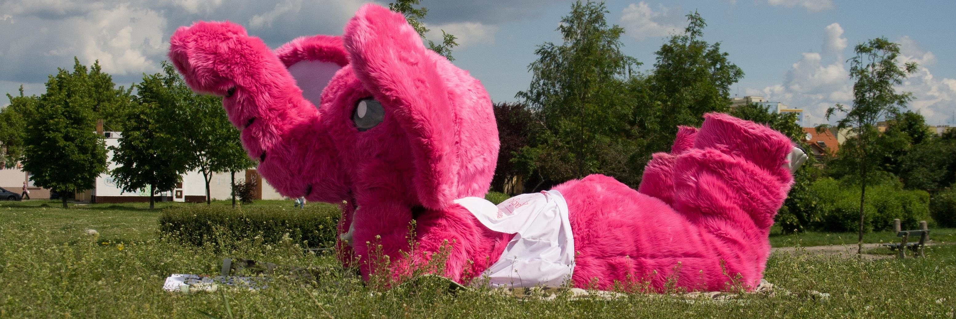 DobreRelacje's profile banner image