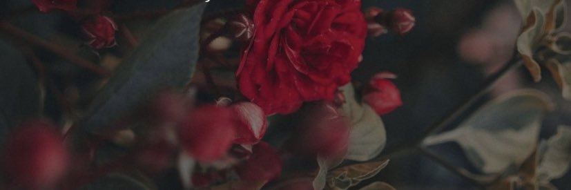 QRoyalty_'s profile banner image