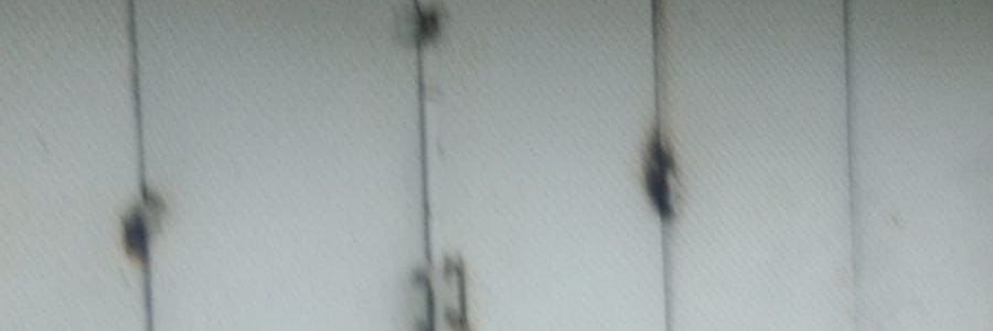 DiggieDunk banner