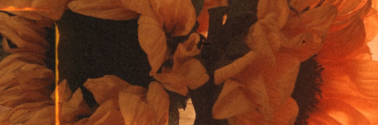 IX🌻 banner