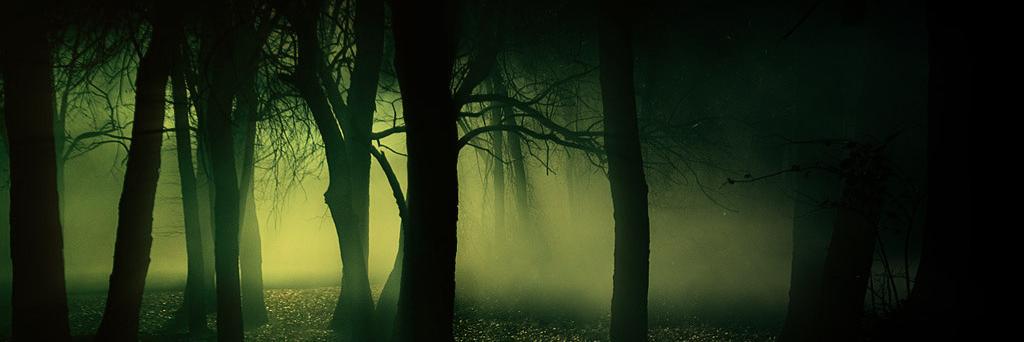Bearimprint's profile banner image