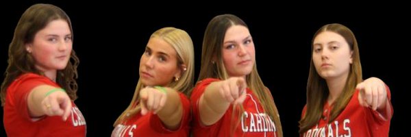 UDHSSoftball Profile Banner