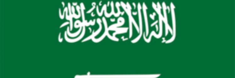 صوغان banner
