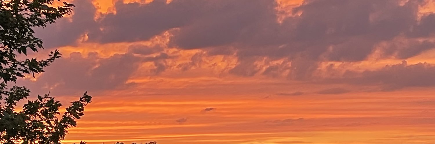 KristaFerrier's profile banner image