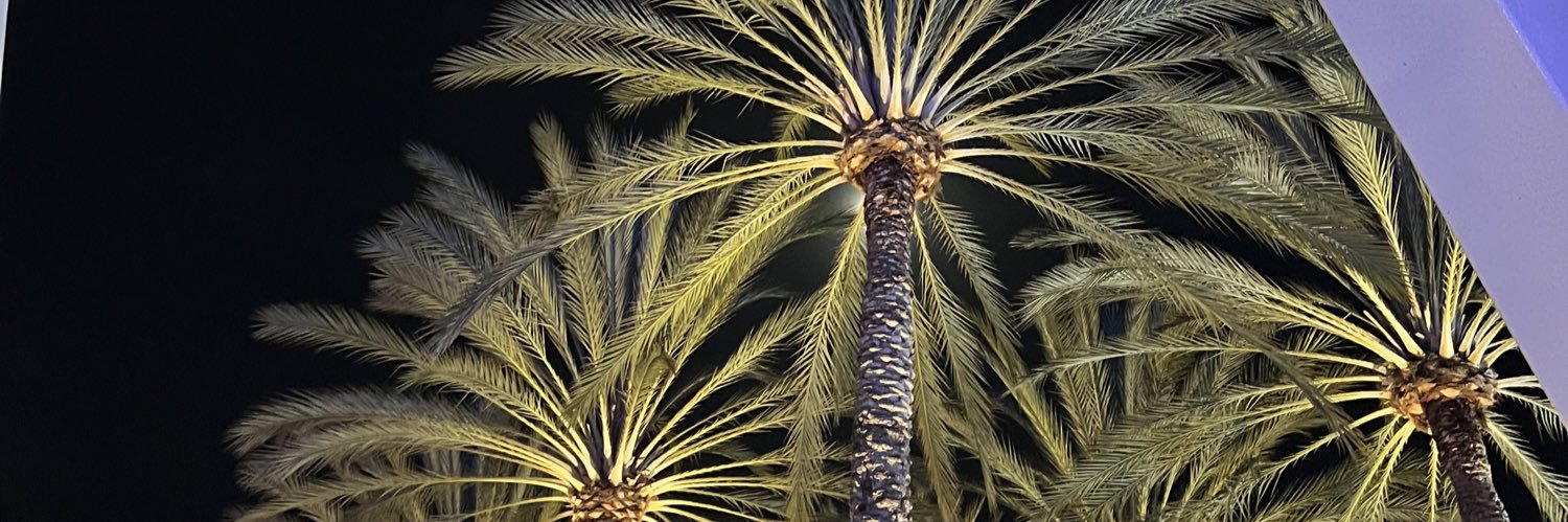 vaci_0's profile banner image