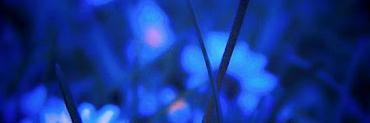 FhSarp's profile banner image