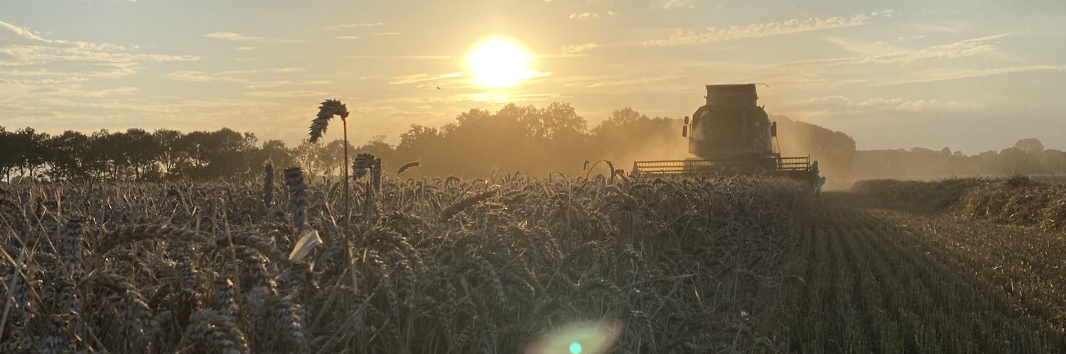 ramonspijk's profile banner image
