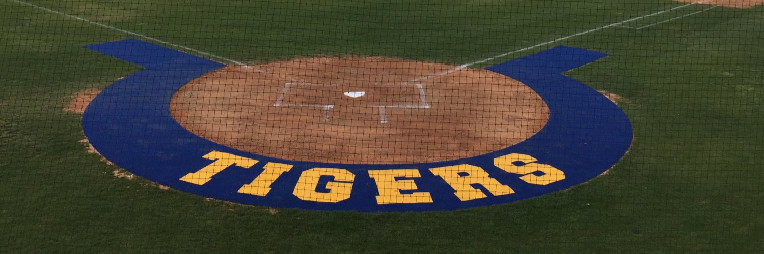 MPHS Baseball banner