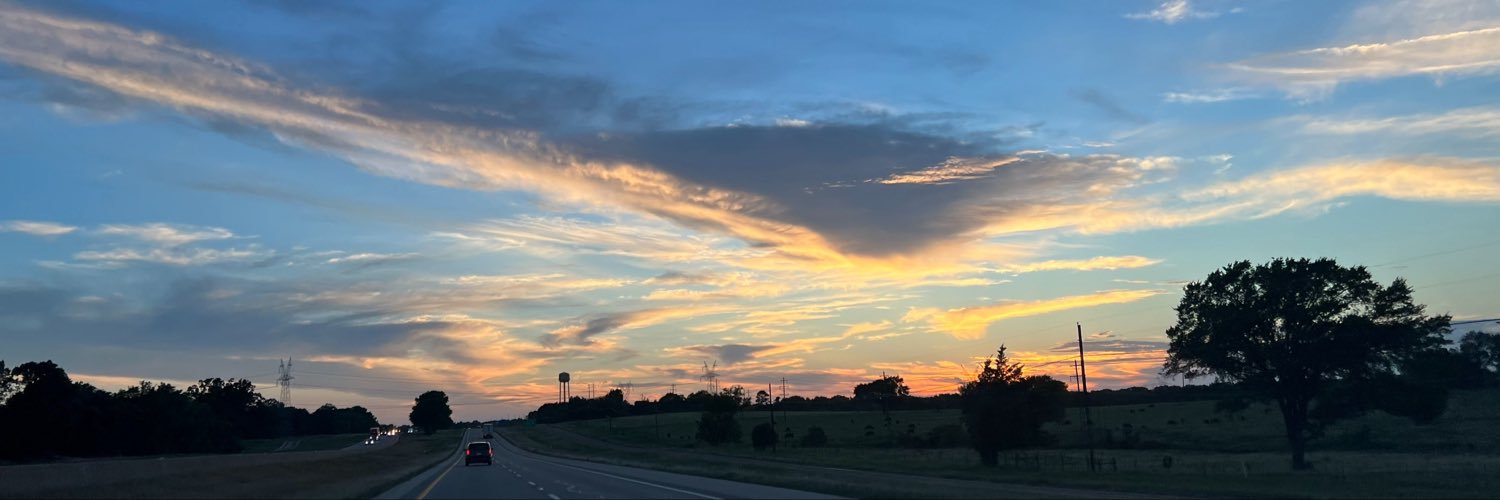 michaylaaa__'s profile banner image