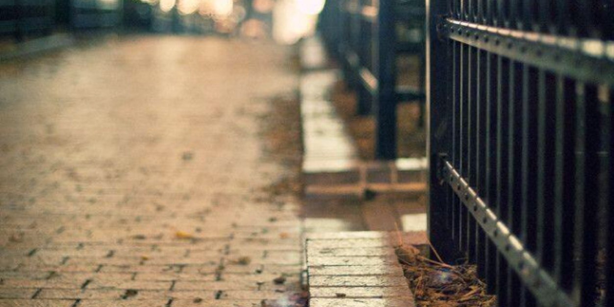 shrog_alabed's profile banner image
