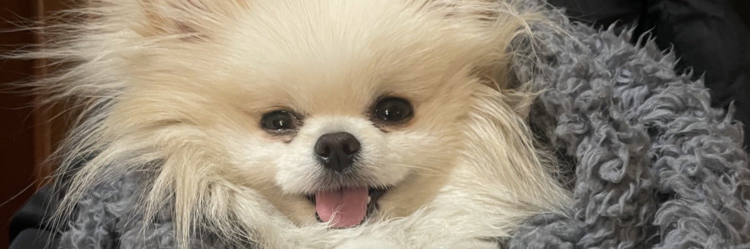 Taniagonher's profile banner image