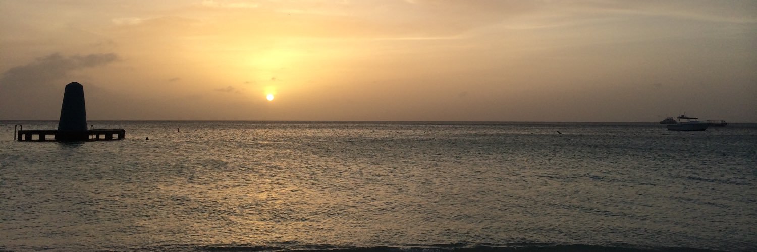 bijankss's profile banner image