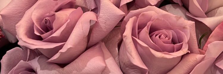 amoshn19's profile banner image