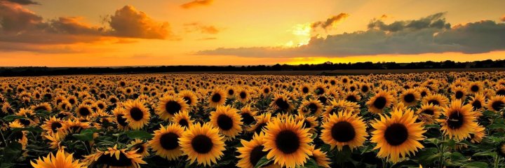 Mimy_Emaa's profile banner image