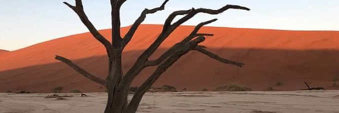 debtrotto's profile banner image
