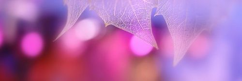 GabyfigGo's profile banner image
