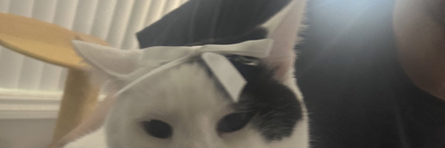 🕸️💕🖤chris 🖤💕🕸️ banner