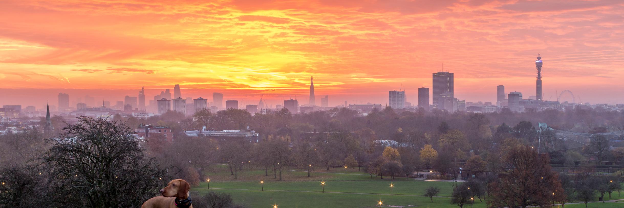 Maybe It's Because banner