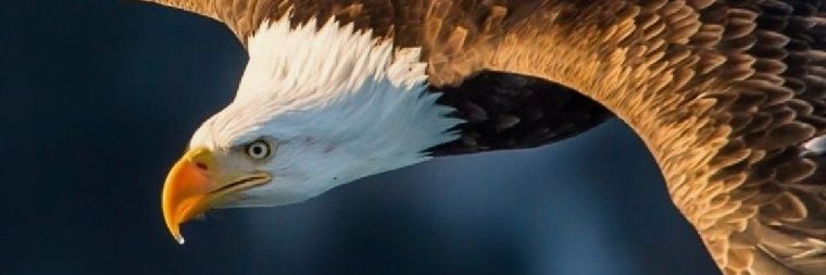 ClaudioMachado's profile banner image