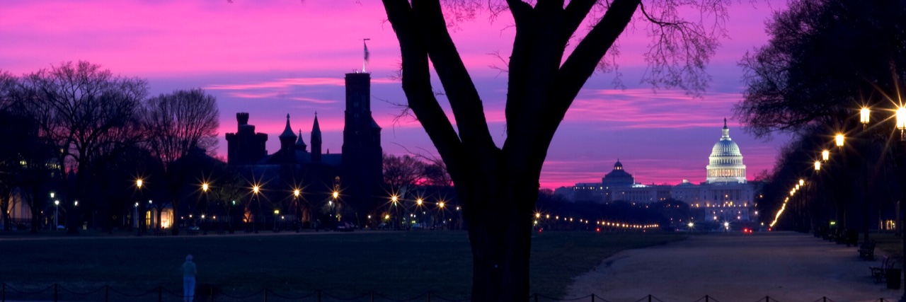 Laura Magaña V. banner