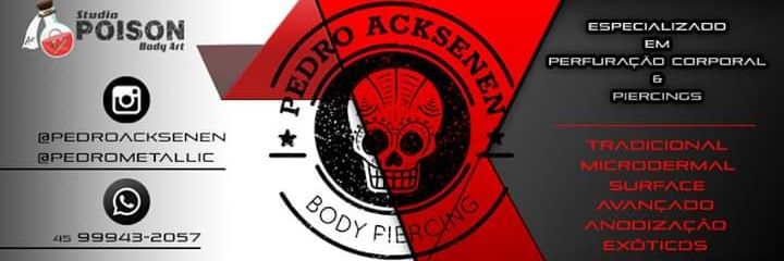 Pedrometallic's profile banner image